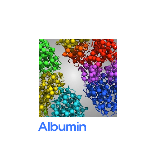 먹는(경구) 알부민