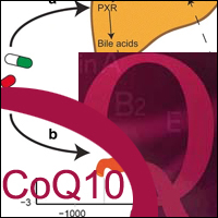 Dyslipidemia_CoQ10