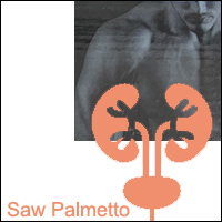 SawPalmetto_BPH
