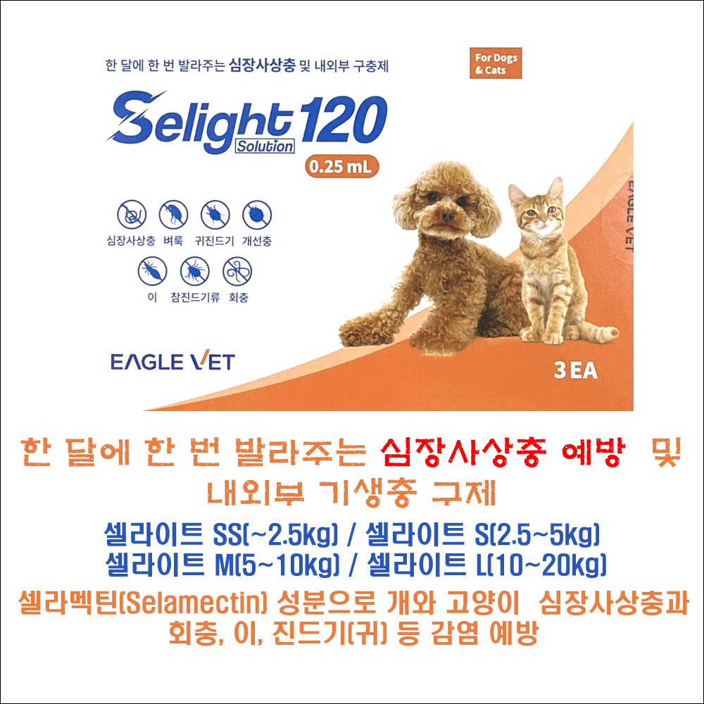 셀라이트 심장사상충 진드기