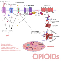 opioid_polypharmacy